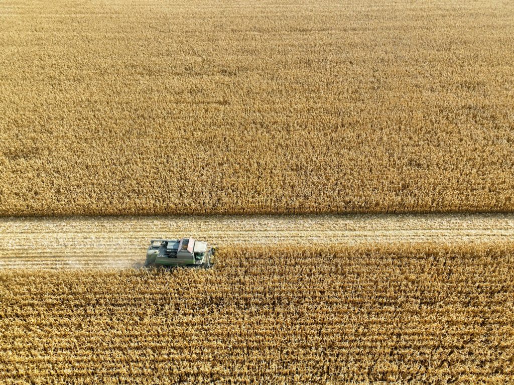 Aerial drone view of corn harvest. A photograph taken in agricultural lands in Turkey.