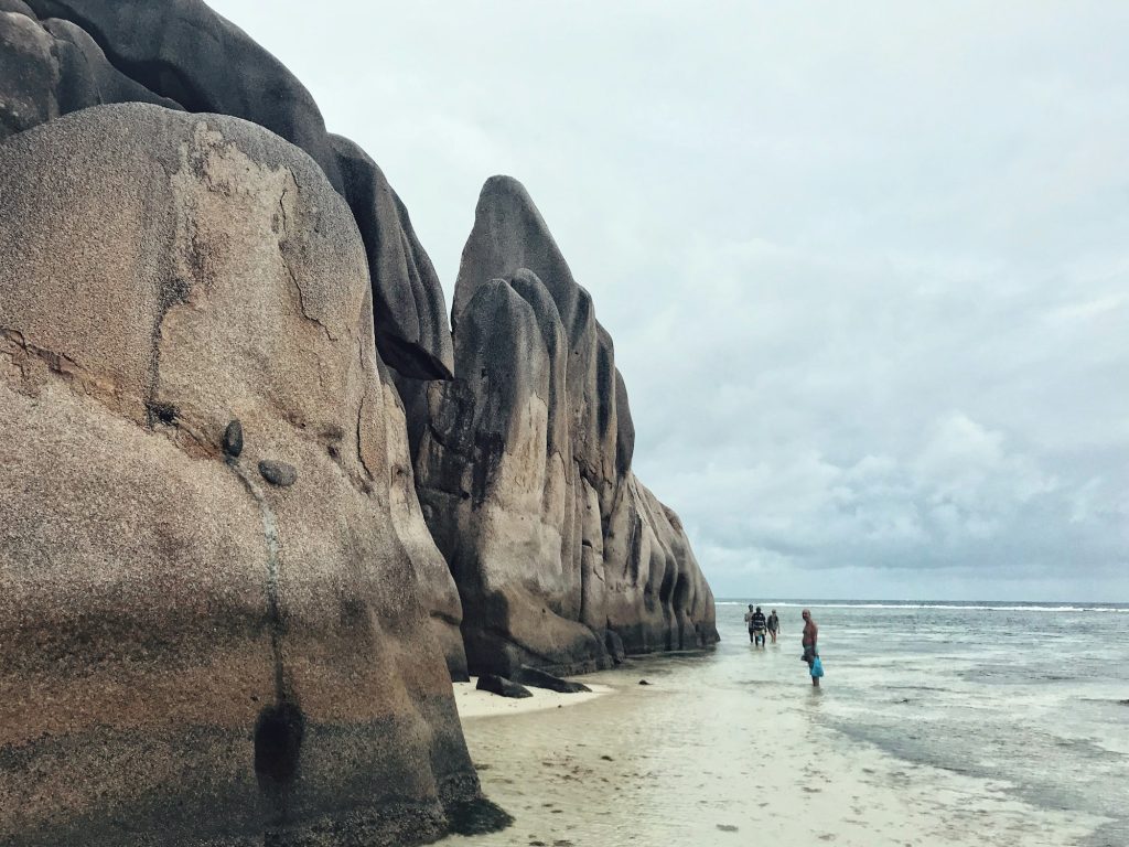 Beach landscape