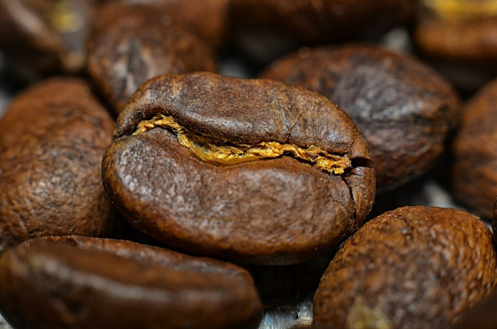 Close up photo of coffee bean. Macro photography.