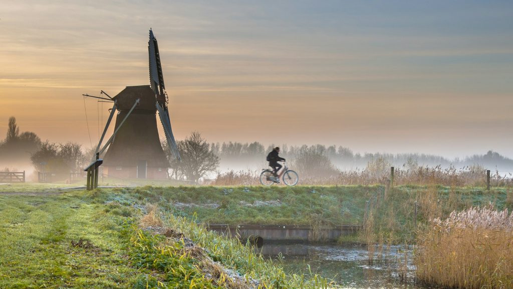 Cyclist in early morning landscape