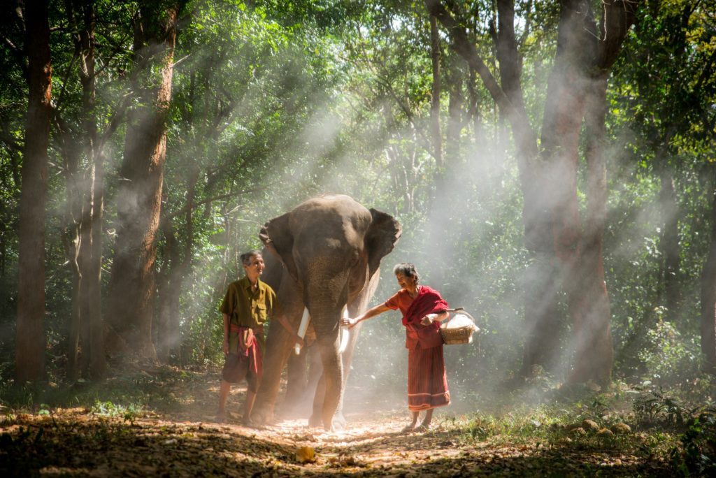 Elephant and senior couple in Thailand