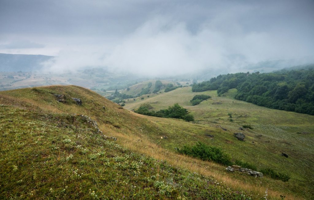 Landscape with mountains and fields with flowers on a cloudy summer day after rain with a haze.