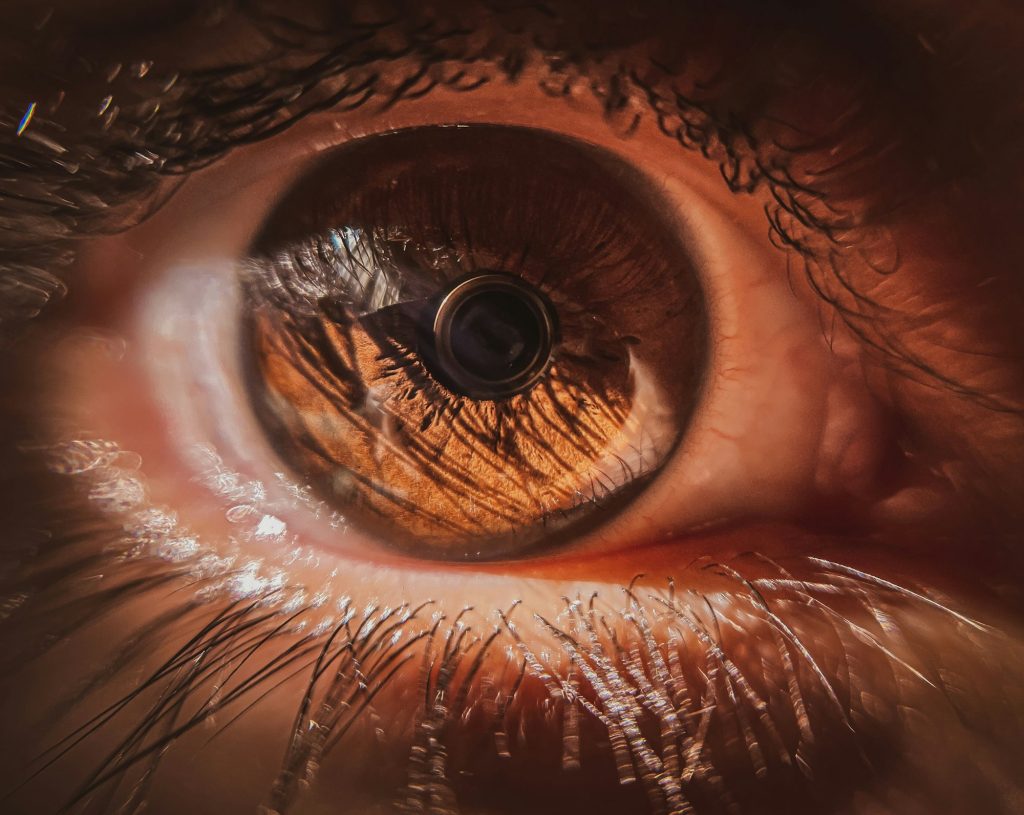 Macro shot of details on a brown human eye