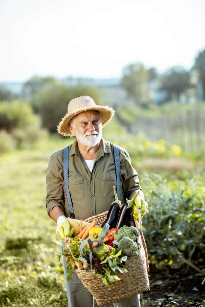 Portrait of a senior agronomist with vegetables